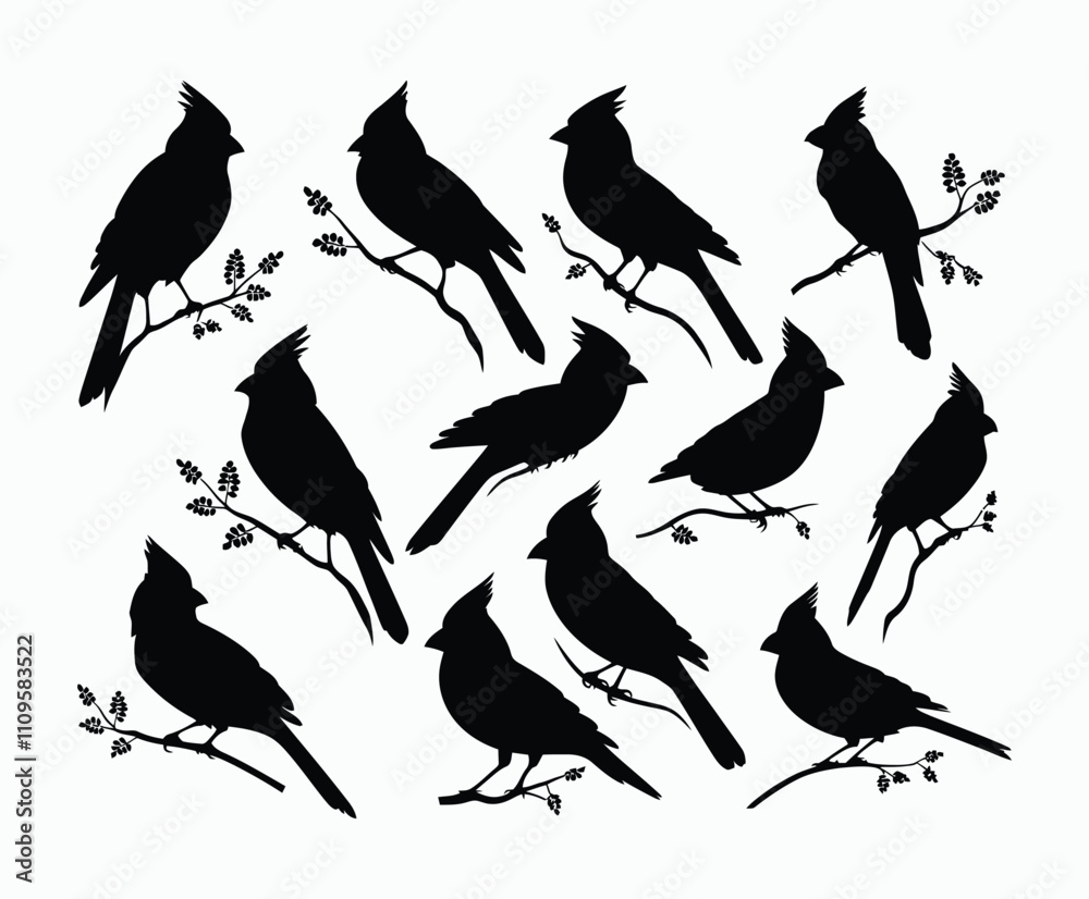 Obraz premium Beautiful Cardinal Silhouette Vector Collection Template