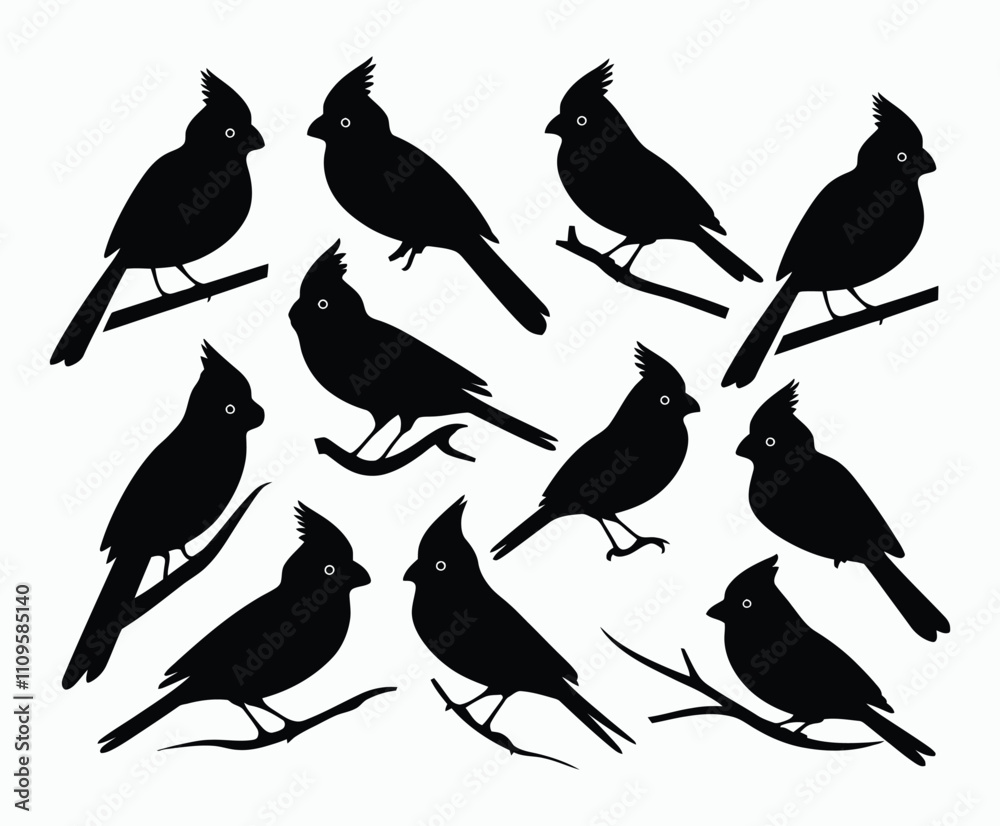 Obraz premium Cardinal Bird Designs Silhouette Collection Vector Template