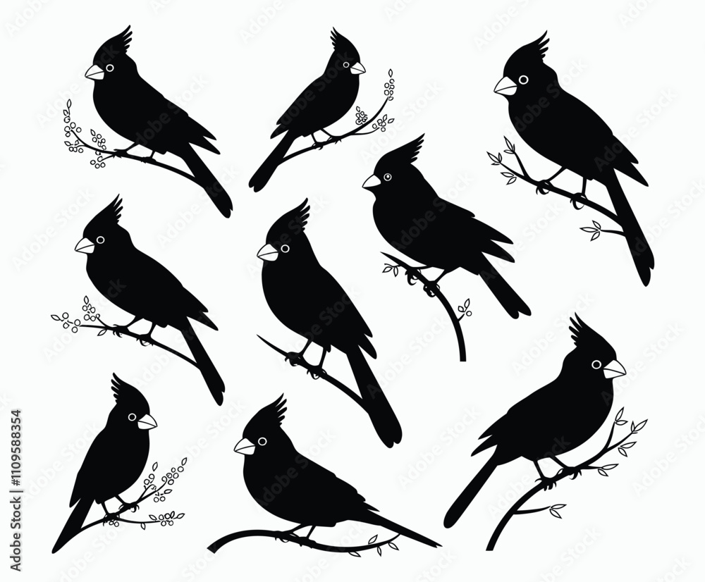 Fototapeta premium Elegant Bird Silhouette Collection Vector Template