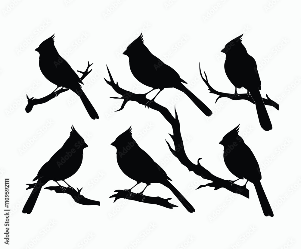 Fototapeta premium Elegant Cardinal Silhouettes in Minimalist Vector Style