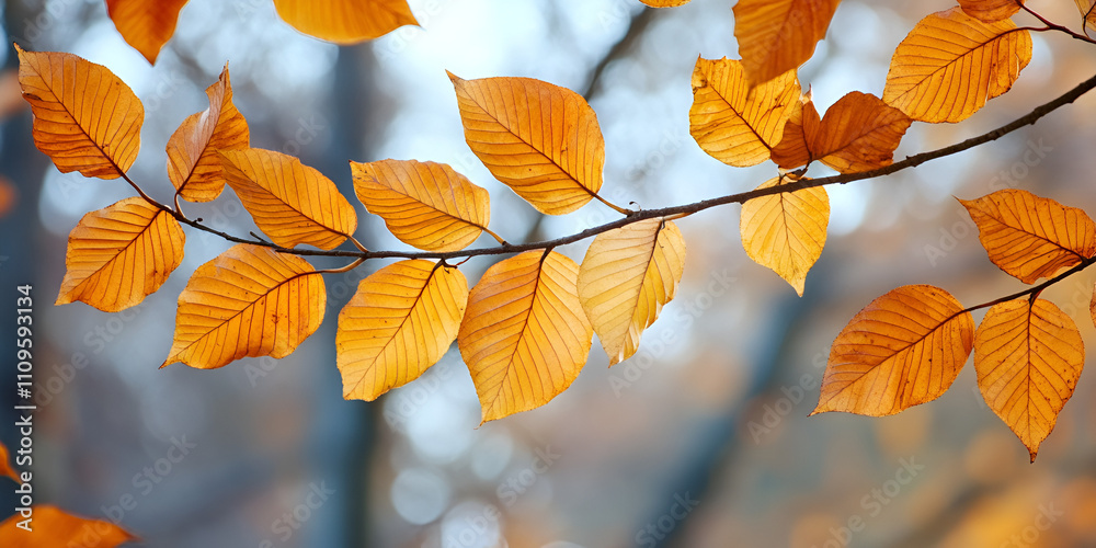 Golden Autumn Leaves on Branch Against Blurry Background Golden Autumn Leaves on Branch Against Blurry Background
