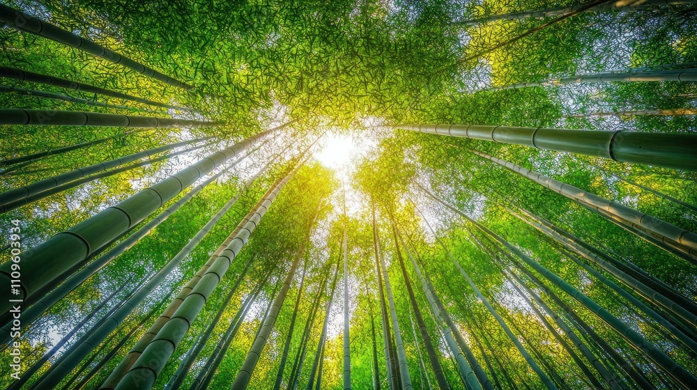 The bamboo forest is lush green, with slender stems reaching up to the sky background wallpaper AI generated image The bamboo forest is lush green, with slender stems reaching up to the sky background wallpaper AI generated image
