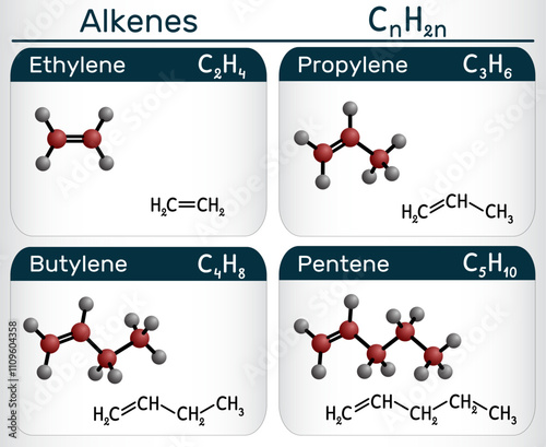 Homologous series of alkenes. Ethene, propene, butene, pentene molecular structures and models. Vector