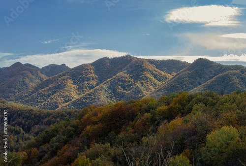 Autumn landscape with colorful mountains of trees photo