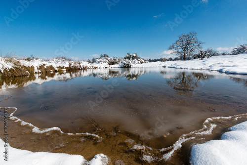 Snowy landscape with reflections in the pond photo