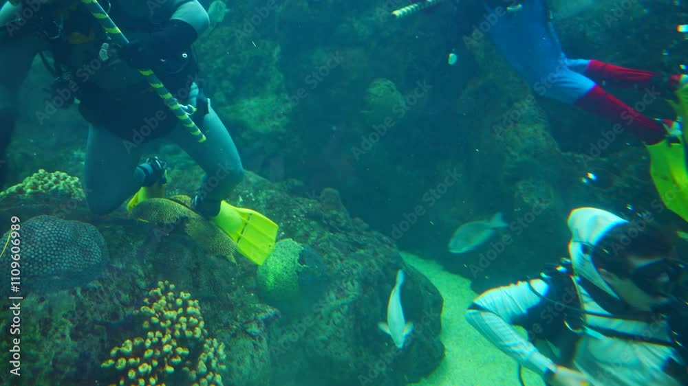 Tampa, Florida, USA: 10 20 2024: Florida Aquarium scuba diving for Halloween Decoration in Fishing tank