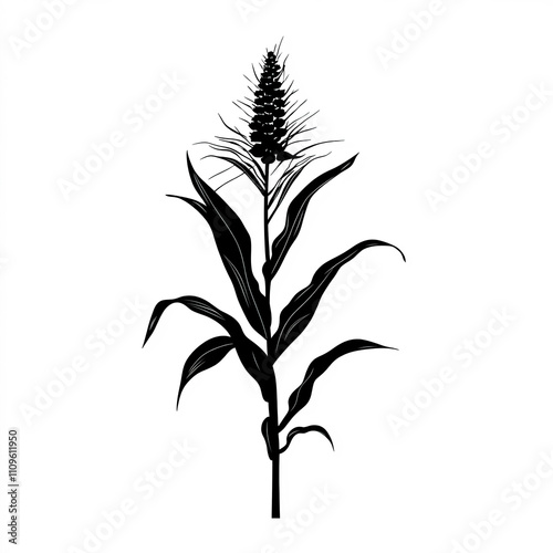Corn Stalk Silhouette, Illu...