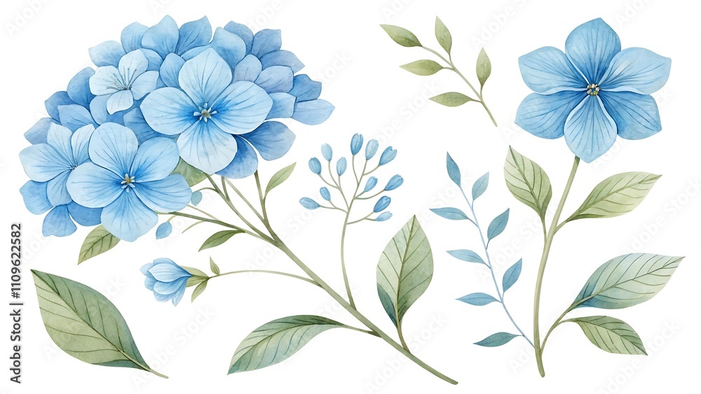 Fototapeta premium Watercolor blue Flower and leaf