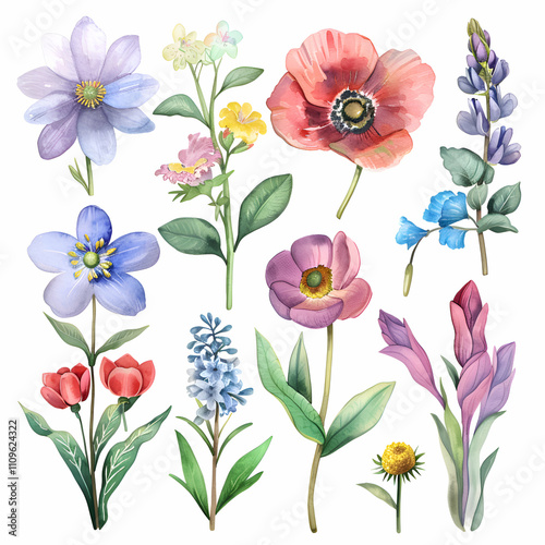 Watercolor Flower Illustration. A Delicate Bouquet of Spring Blooms
