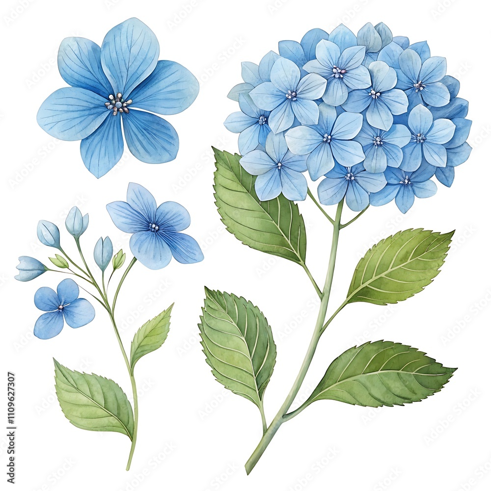 Obraz premium Watercolor blue Flower and leaf