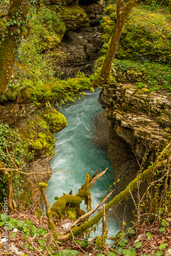 A Serene River Canyon That Is Surrounded by a Beautiful, Lush Greenery In Nature