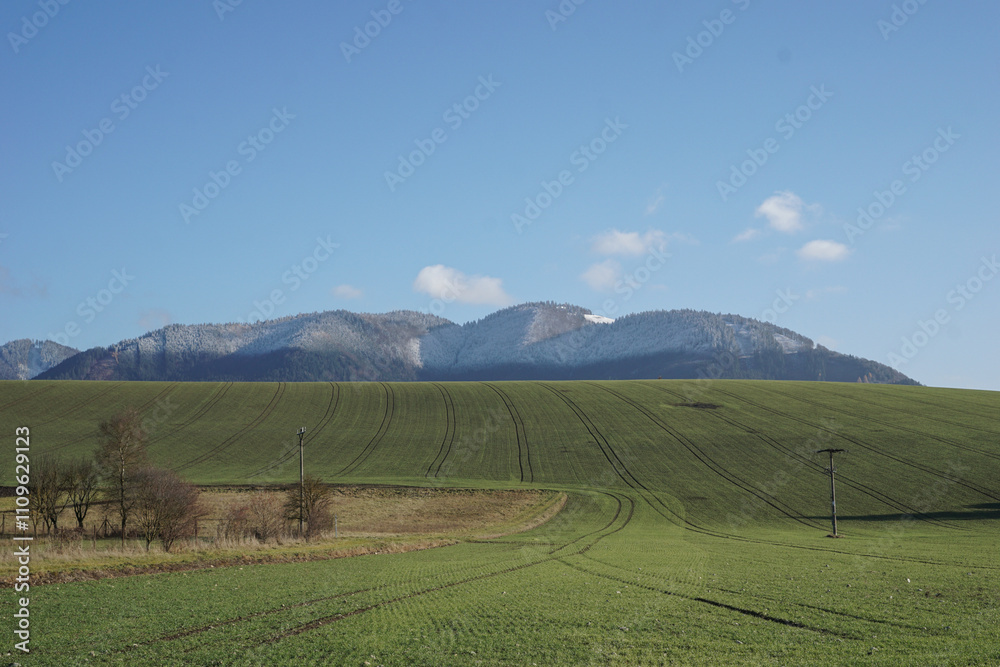 Green fields with distant snowy hills under clear sky. Green fields with distant snowy hills under clear sky.
