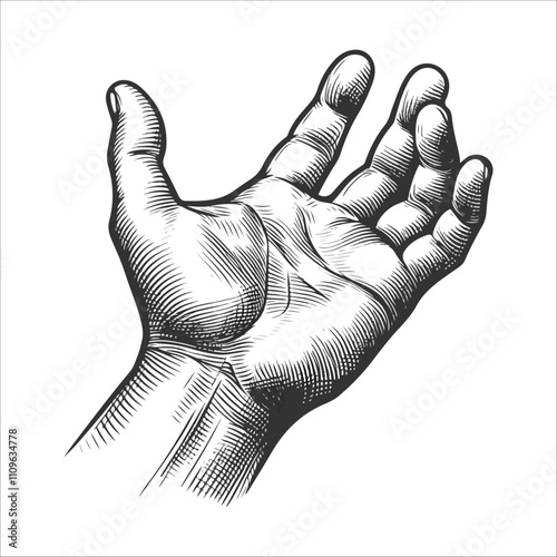 BEST HAND VECTOR  COLORFUL & SILHOUTTE