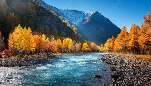 a beautiful autumn mountain landscape with sunlit poplars and a blue river autumn landscape with trees in autumn colors and river autumn forest with fallen leaves altai mountains russia