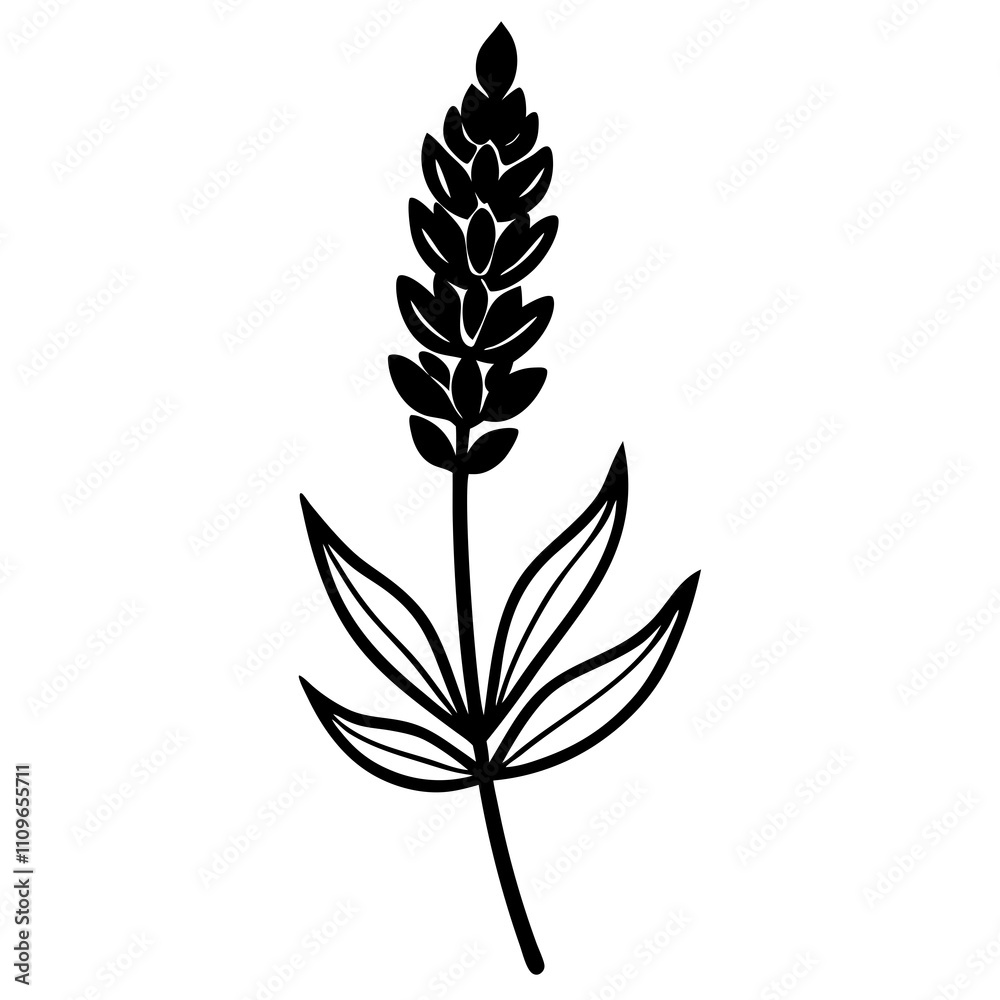 Fototapeta premium Lavender Flower with Leaf Beautiful Floral Design for Print