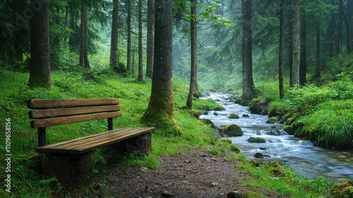 Serene Forest Scene with Wooden Bench Next to Gentle Stream Surrounded by Lush Greenery and Majestic Trees in a Tranquil Natural Setting photo