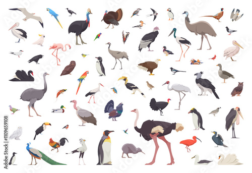 Flat set of birds. Isolated birds on white background. Vector illustration