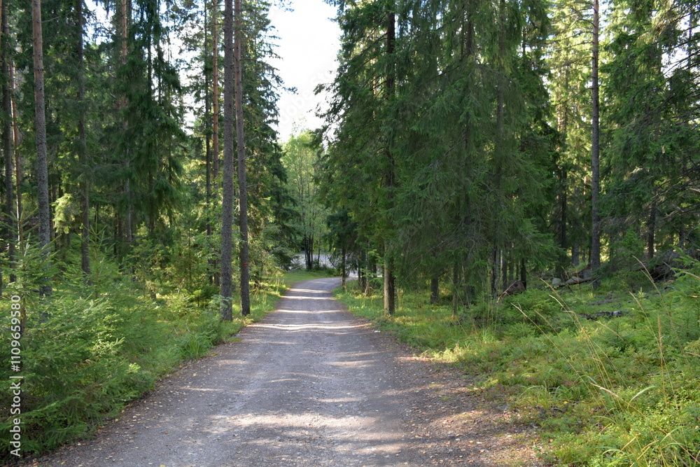 Fototapeta premium Nuuksio National Park