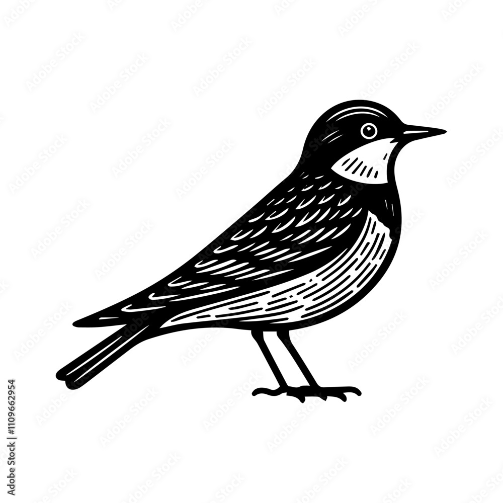 Fototapeta premium Simple Vector Icon of a Black-breasted Puffleg – Logo Design Illustration