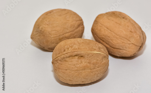 photos of walnuts with a natural shell photo