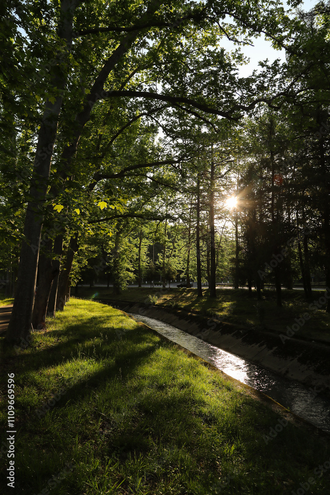 Obraz premium the park in Tskaltubo