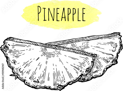 Pineapple wedges ink sketch.