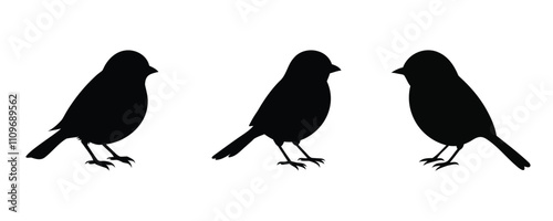 Here are 40 keywords for the title "Chickadee Silhouette Set Vector Design