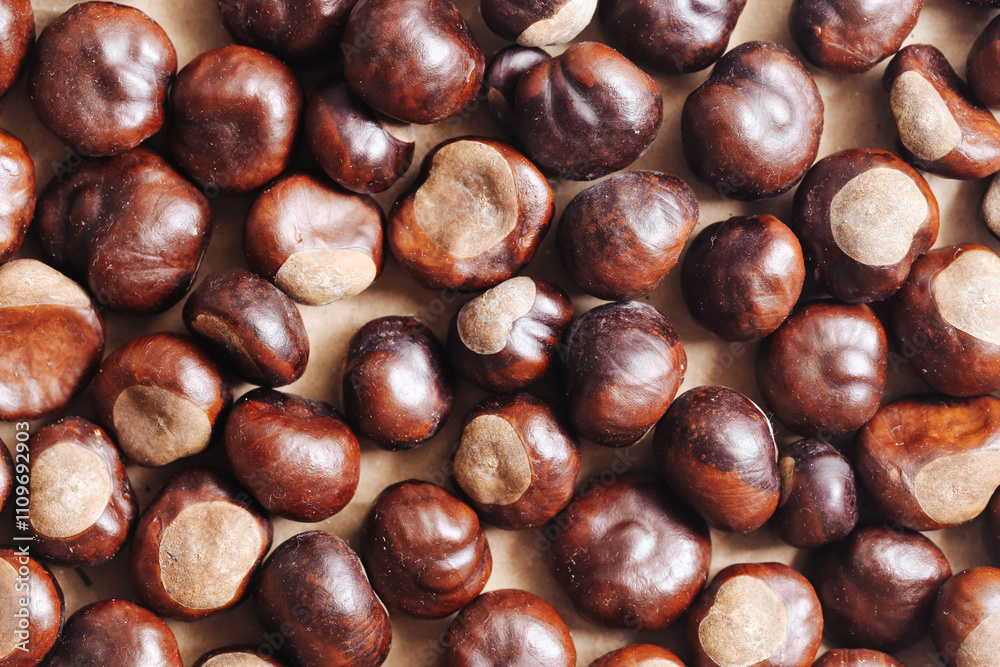 Chestnut texture on a brown background. Shiny autumn chestnuts symbolizing fall. Warm seasonal backdrop. Natural harvest decoration. Forest inspired autumn theme. Chestnut texture on a brown background. Shiny autumn chestnuts symbolizing fall. Warm seasonal backdrop. Natural harvest decoration. Forest inspired autumn theme.