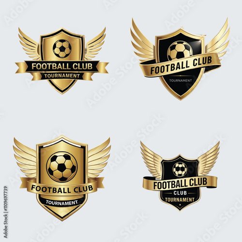 Football and Soccer Logo image and sample design.