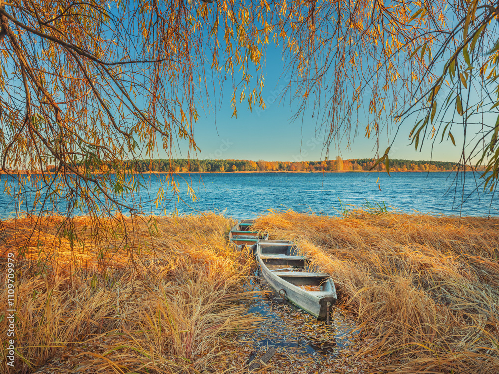 wide angle view river side with old wooden fishing boats in reed under trees branches wide angle view river side with old wooden fishing boats in reed under trees branches