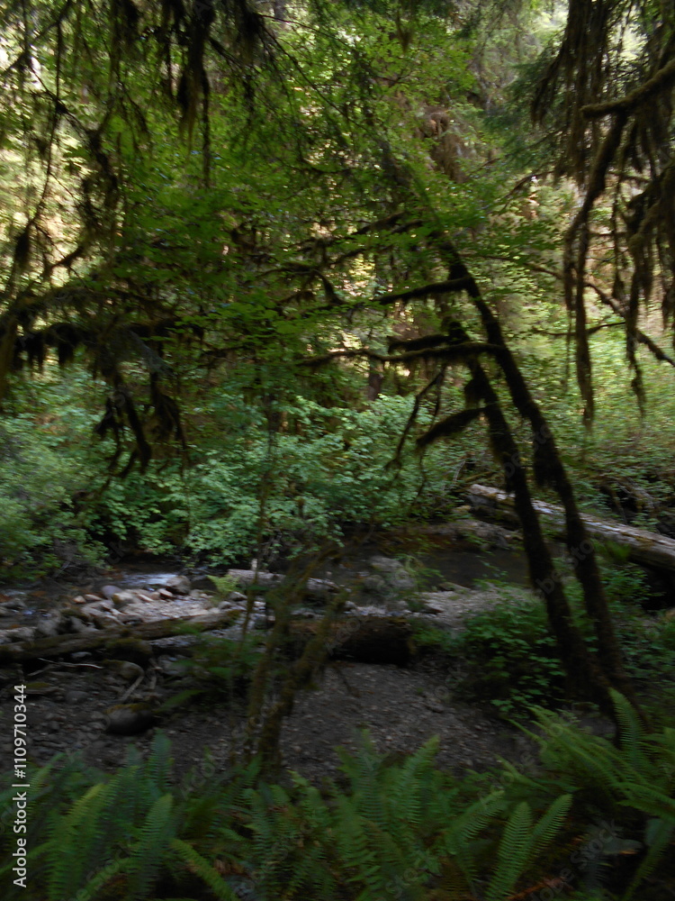 Hiking to Wolf Creek Falls, Oregon Hiking to Wolf Creek Falls, Oregon