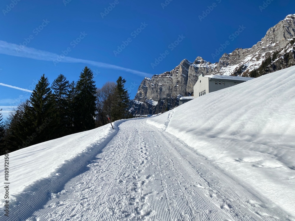 Winter snow idyll along the rural alpine road above the Lake Walen or Lake Walenstadt (Walensee) and in the Swiss Alps, Walenstadtberg - Canton of St. Gallen, Switzerland (Schweiz) Winter snow idyll along the rural alpine road above the Lake Walen or Lake Walenstadt (Walensee) and in the Swiss Alps, Walenstadtberg - Canton of St. Gallen, Switzerland (Schweiz)