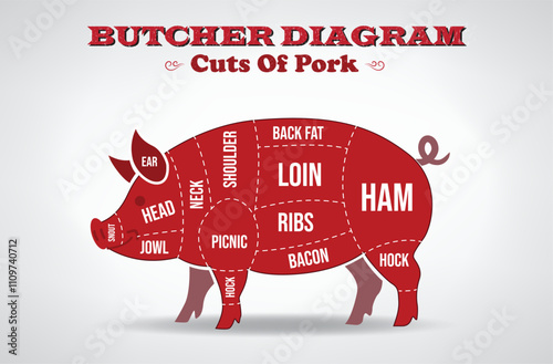 A detailed butcher diagram illustrating various cuts of pork, including loin, ribs, ham, bacon, and shoulder. Each section is clearly labeled for easy reference, making it ideal for chefs, butchers,  