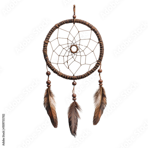 Boho Style Dreamcatcher with Feathers and Intricate Web Design