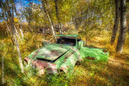 A green car is sitting in a field of grass photo