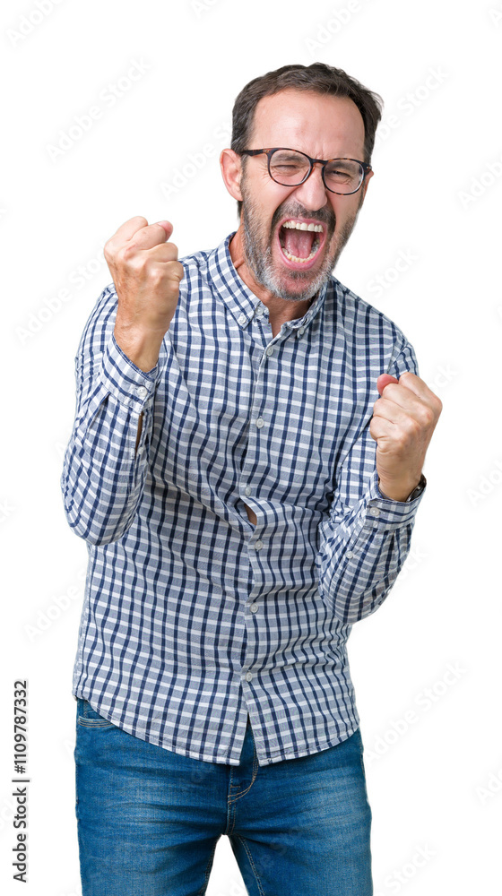 Handsome middle age elegant senior business man wearing glasses over isolated background very happy and excited doing winner gesture with arms raised, smiling and screaming for success. Celebration.