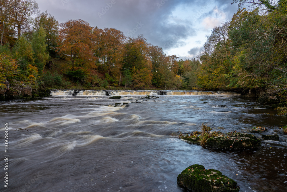 River in Autumnal forest River in Autumnal forest