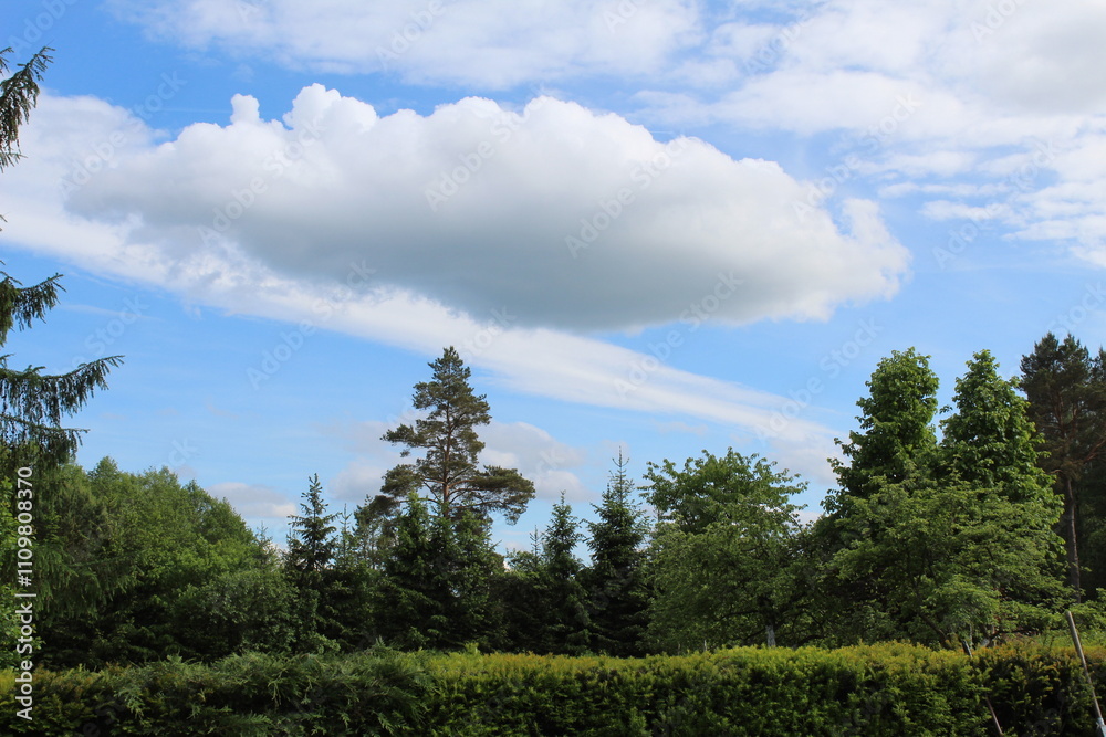 Naklejka premium letni krajobraz wiejskiego pola