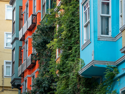 Detalle de ventanas de casas y viviendas de colores con vegetación photo