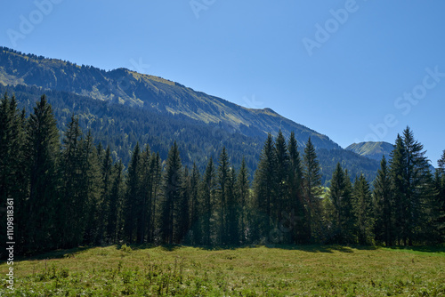 Majestic Alpine Mountain Landscape With Green Forest And Blue Summer Sky Above Peaceful Mountain Valley. Scenic Natural Highland Panorama With Wild Meadows And Mountain Peaks In Wilderness.