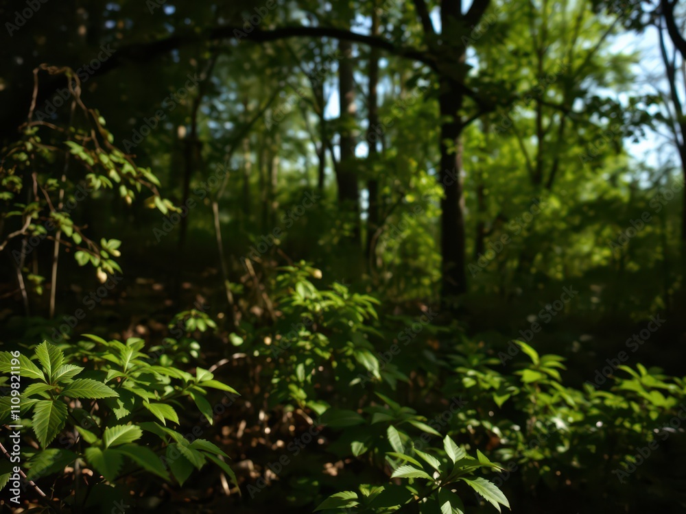 An assortment of dappled light shadows cast by tree branches and leaves in a forest setting, peaceful, foliage An assortment of dappled light shadows cast by tree branches and leaves in a forest setting, peaceful, foliage