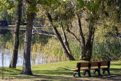 bench in the park with ponds and walkways  photo