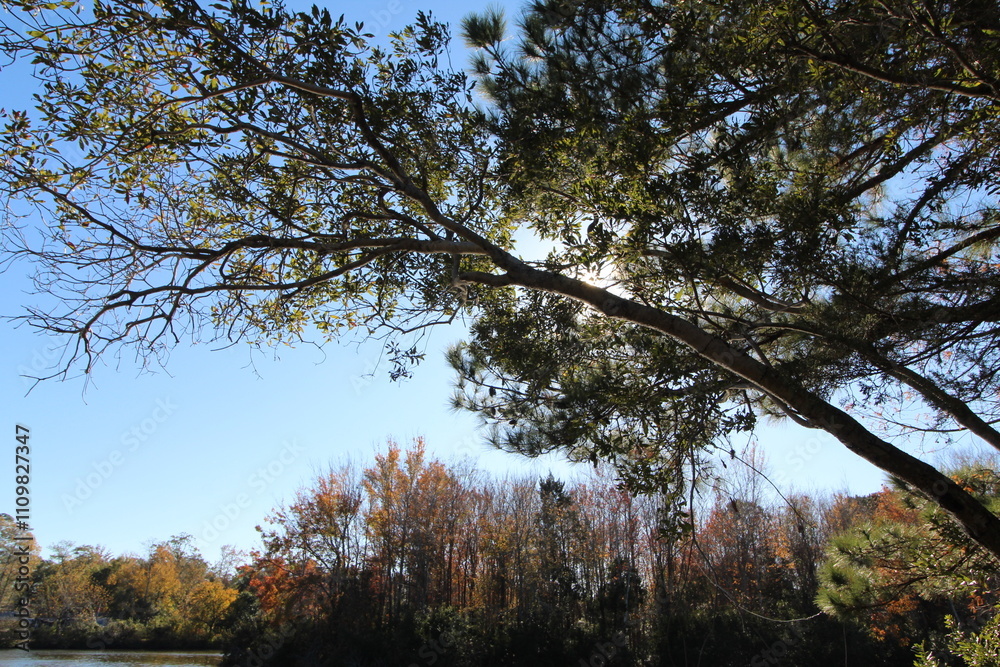 Obraz premium Hidden Sun