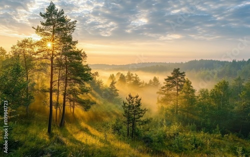 Beautiful misty morning in the forest with trees, foggy hills, and soft sunlight filtering through the clouds, creating an ethereal