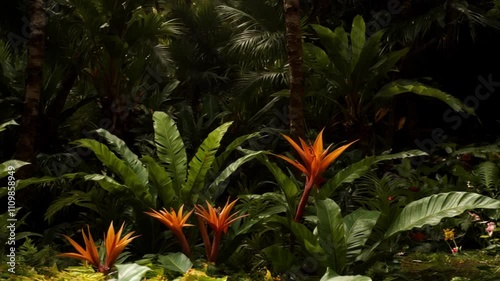 Tropical broad-leaved plants. 01. photo