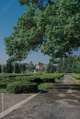 A green and beautiful estate