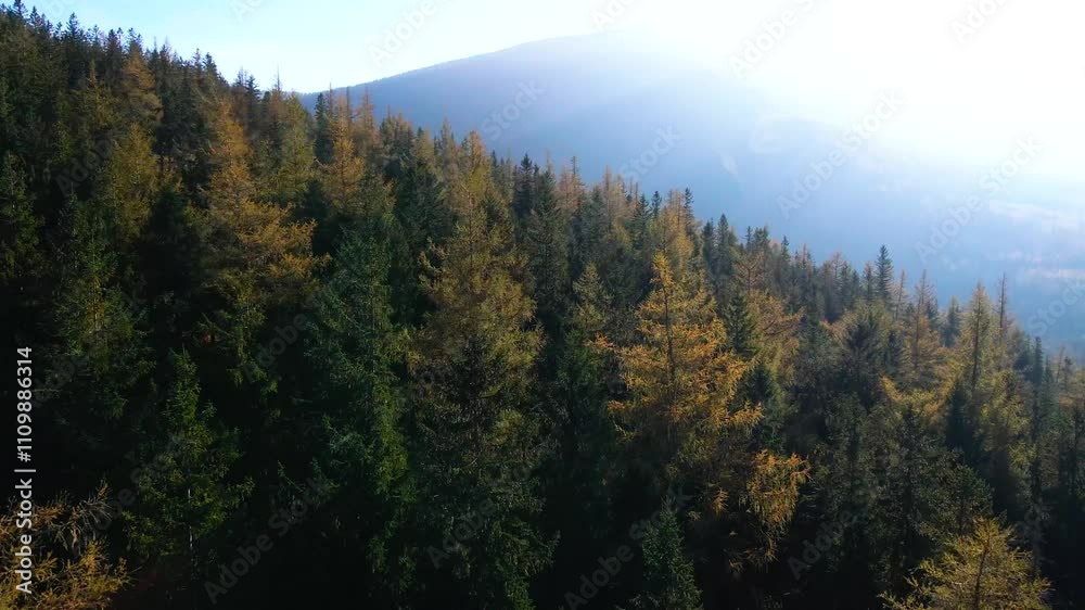 Aerial view, drone flying over trees in fall - Colorado Springs, Colorado Aerial view, drone flying over trees in fall - Colorado Springs, Colorado