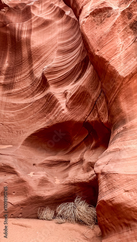 Waves of red sandstone create an intricate pattern, showcasing nature's artistry in Antelope's slot canyon. A small tumble weed nestles at the base, contrasting against the sweeping curves of rock.