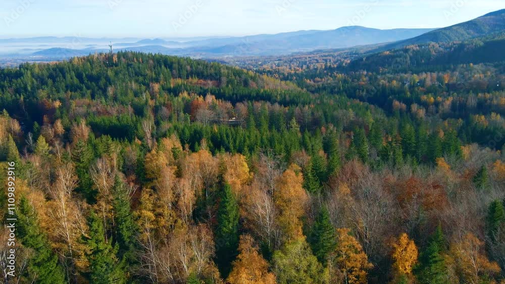 Mount Washington, moving above the trees on the left side of the frame in New Hampshire, United States of America. Mount Washington, moving above the trees on the left side of the frame in New Hampshire, United States of America.