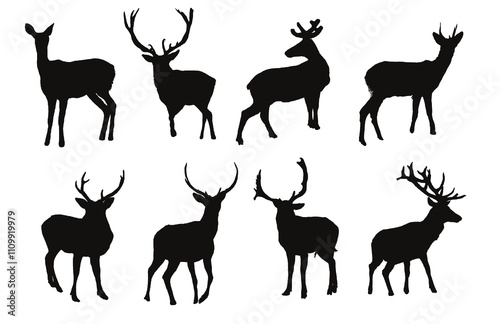 Deer silhouettes Illustration Set, Black and White Silhouettes. Collection of Different Deer Poses, Perfect for Logo, Design, and More.